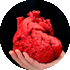 3d heart surgery