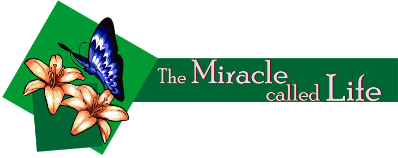 the-miracle